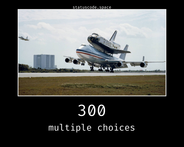 300 Multiple Choices