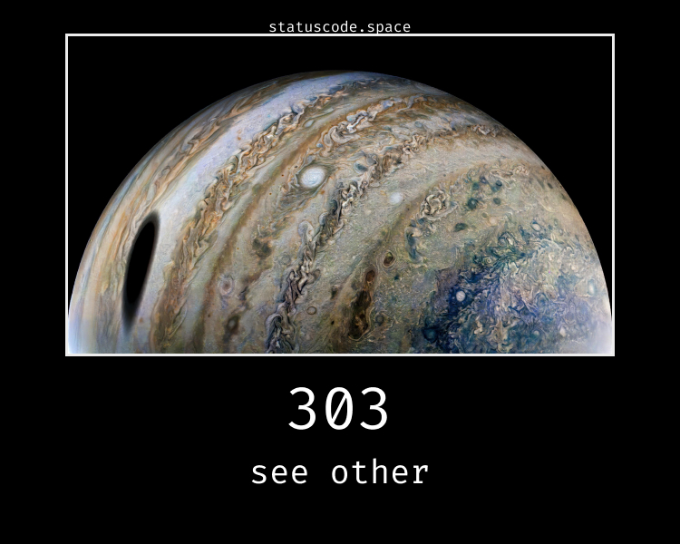 303 See Other